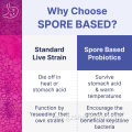 Probióticos suplementos probióticos de salud intestinal basados ​​en esporas